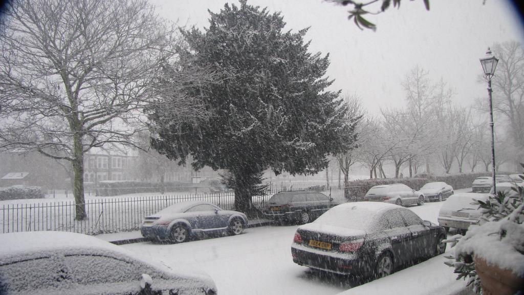 Holmewood Homestay Londra Esterno foto